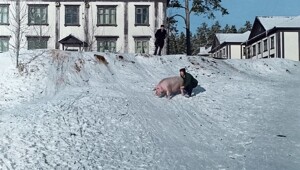 Жизнь Советского Тольятти в 60-е годы