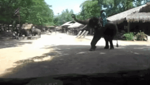 Просто гифки, всякие и&nbsp;разные