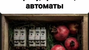 Смешные картинки