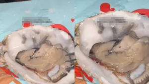 Роскошный ужин с сюрпризом