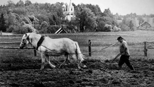 Моменты жизни