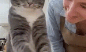 Просто гифки, всякие и&nbsp;разные