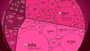 Сколько и в каких странах родилось землян в прошедшем 2025 году