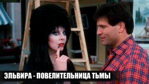 Как снимали фильм "Эльвира - повелительница тьмы": 20 интересных фактов о фильме