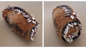 Колонка несколько месяцев находилась в воде и до сих пор работает