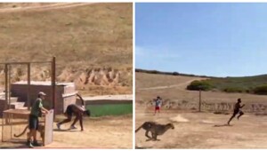 Блогер посоревновался в скорости с гепардом