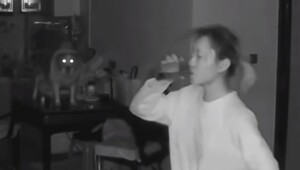 Пёс напугал свою хозяйку