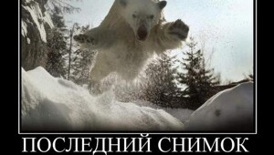 Свежие и прикольные демотиваторы