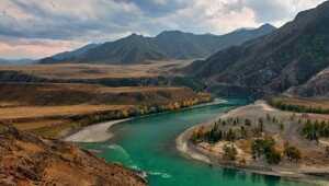 Жемчужина Алтая