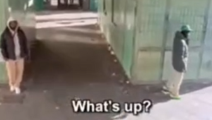 Крэк под сенью каштанов: блогер показал, как Париж превращается в один большой наркопритон