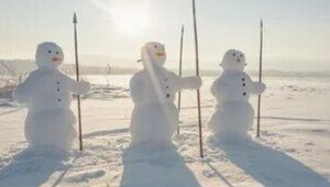 Дипломатия чековой книжки: Трамп вывел США из 66 организаций