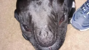 20 реальных доказательств того, как ловко наш мозг нас обманывает