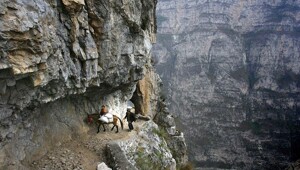 В пути за знаниями