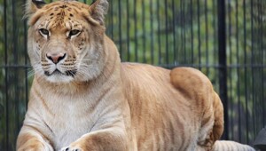 10 фактов, которые заставят пошатнуться ваши привычные представления о мире