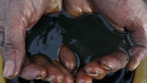 Откуда на Земле столько нефти? Спойлер: динозавры ни при чем