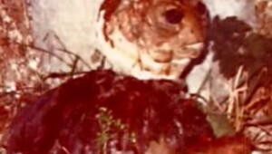 Загадочная встреча с пришельцем в Италии