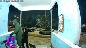 «Сваливаем, ты была хорошая»: хозяева привязали щенка у подъезда и оставили на морозе в Нижнем Новгороде