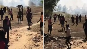 В Индии слон за 10 дней убил более двух десятков человек