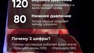 Специально для тех, кому цифры на тонометре ни о чём не говорят