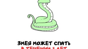 А вдруг ты не знал…