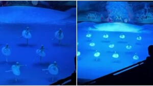 Слово из трёх букв было замечено на сцене Большого театра