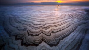 Всемирная премия в области фотографии природы 2025 год