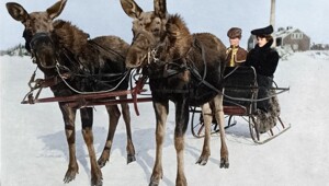 Подборка фотографий из прошлого, которые заставляют удивиться