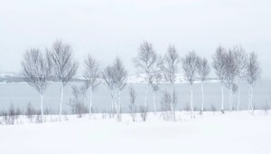 The 20 Breathtaking Winners of International Landscape Photographer of the Year 2025