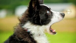 На общую тему&nbsp;