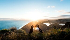 Фото настроение