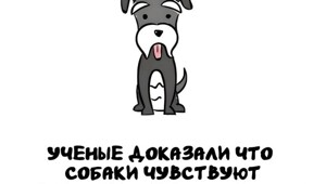 А вдруг ты не знал…