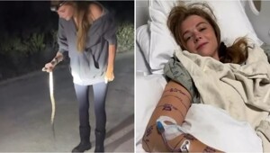 Приняла питона за безобидную змею: ошибка закончилась реанимацией