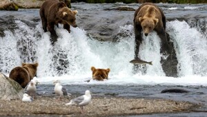 На общую тему&nbsp;