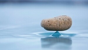 На общую тему&nbsp;