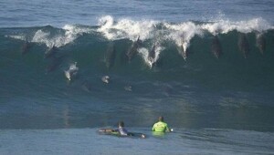 Эмоциональные фото-11