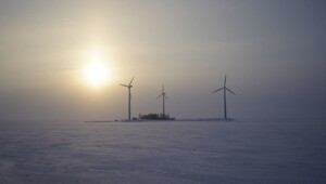 Финская «зеленая мечта» замерзла при −35°C