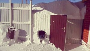 Эмоциональные фото-13