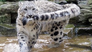 На общую тему&nbsp;