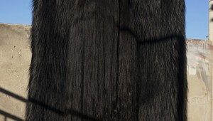 Почему у&nbsp;тебя такие длинные волосы?&nbsp;