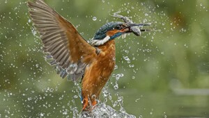 На общую тему&nbsp;