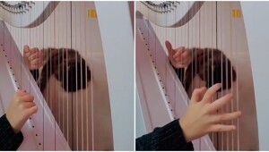 Хит 90-х на арфе