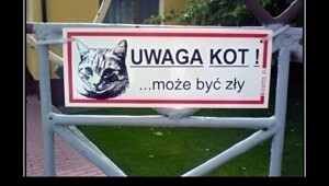 Демотиваторы на злобу дня