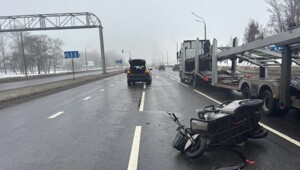 77 лет. Где мозг?