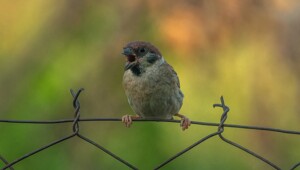 На общую тему&nbsp;