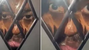 В Англии неизвестный ночью смотрел в стеклянную дверь дома