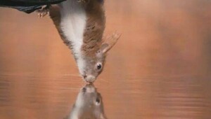 20 снимков, демонстрирующих простую магию нашего сложного мира