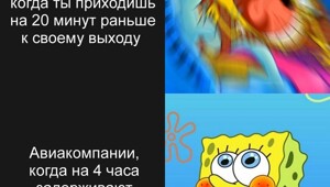 Летаем по-новому: Минтранс обновил правила авиаперевозок с 1 марта