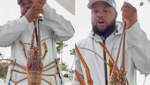 Похвастался уловом — получил удар: гигантский лобстер «отомстил» рыбаку