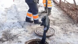 Житель Воронежа смыл джинсы в унитаз и оставил многоэтажку без воды