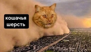 Весëлые картинки